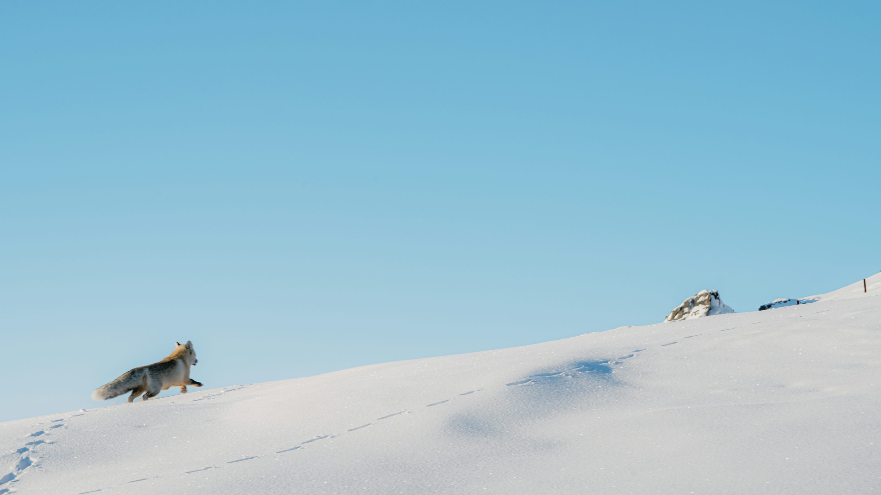 Cascade Lakes Family Camping & Cabins